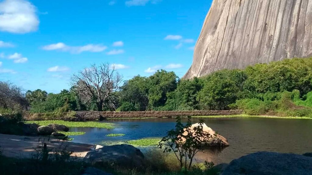 Desbravando a Natureza de Forma Sustentável: Dicas para Trilheiros