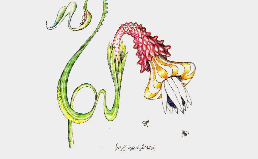 Ilustração original do Codex Seraphinianus